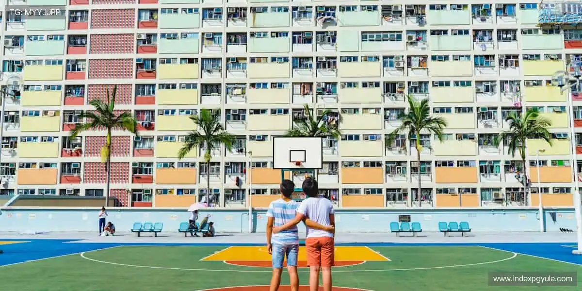 次世代扑克游戏专区:赛事活动轮番登场,边玩边看更带感